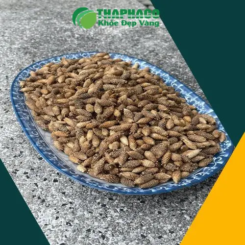 Dược liệu Ké Đầu Ngựa Tấn Phát đạt chuẩn hữu cơ và dinh dưỡng