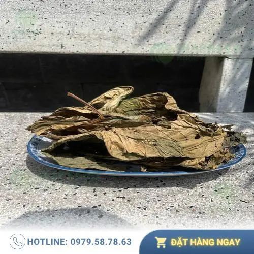 Hướng dẫn bảo quản lá khôi tía sấy khô đúng cách