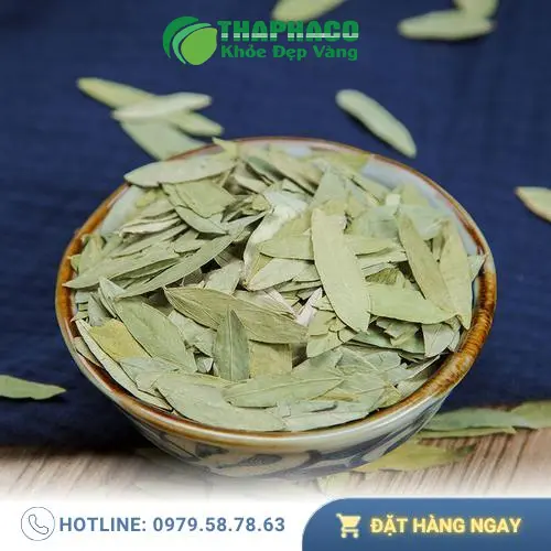 Quy trình kiểm soát chất lượng Phan Tả Diệp khô tại Tấn Phát