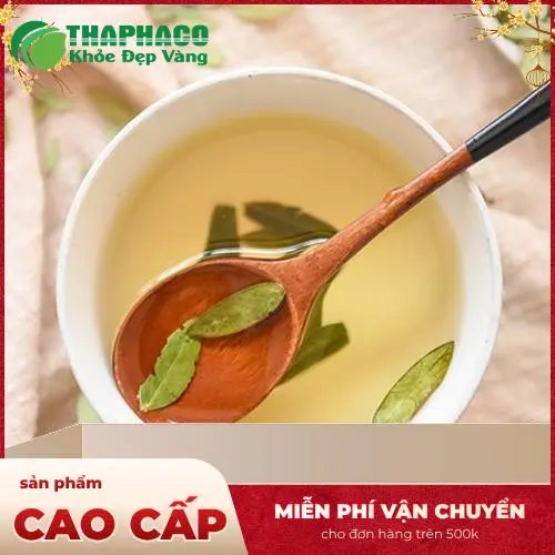 Phan tả diệp được đóng gói cẩn thận tại Dược Liệu Tấn Phát