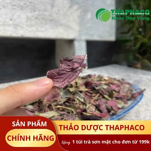 Kho bãi bảo quản lá đơn đỏ hiện đại tại Dược Liệu Tấn Phát, đảm bảo vệ sinh an toàn thực phẩm