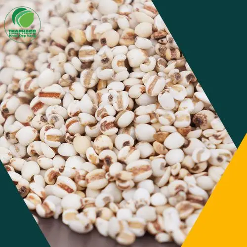 Bảo Quản Ý Dĩ Đúng Cách Giúp Duy Trì Chất Lượng Dài Lâu
