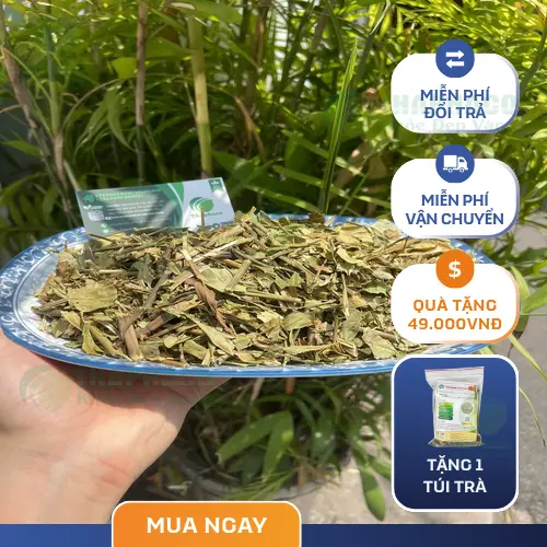 Thảo dược khô cao cấp từ Dược Liệu Tấn Phát