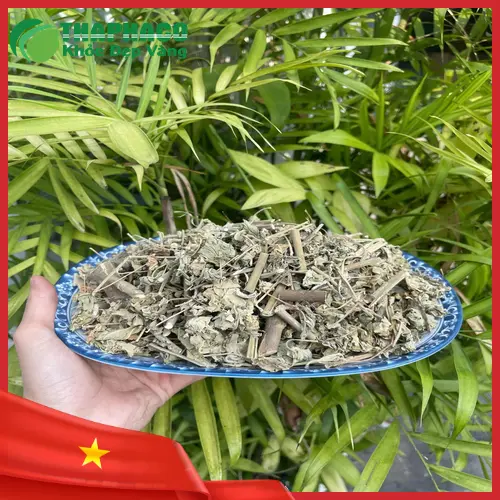Cây Cối Xay khô nguyên cành, lá và hoa - Hình ảnh sản phẩm tại Dược Liệu Tấn Phát