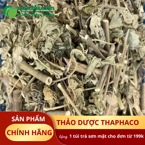 Hình ảnh cây cối xay tươi tự nhiên, lá xanh mướt và quả nhỏ