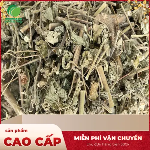 Cây Cối Xay Sấy Khô TP.HCM | Dược Liệu Tấn Phát Uy Tín