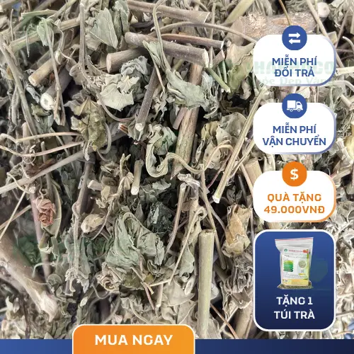 Phân tích thành phần hóa học của cây cối xay
