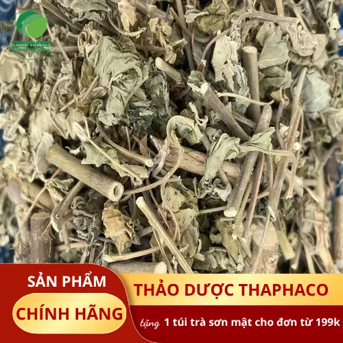 Cận cảnh Cây Cối Xay sấy khô chất lượng cao từ Dược Liệu Tấn Phát