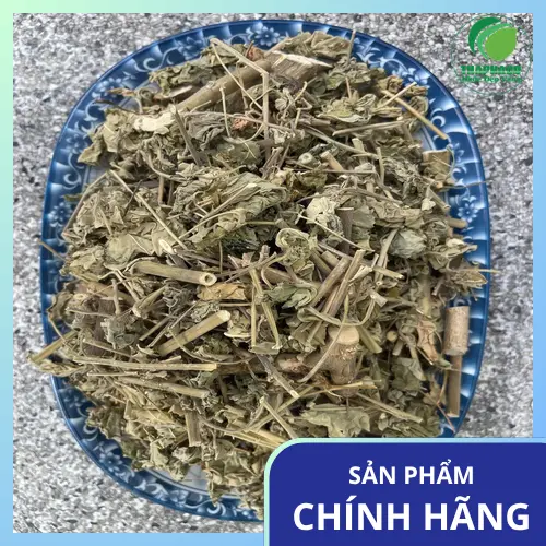 Kho chứa và bảo quản Cây Cối Xay đạt chuẩn tại Dược Liệu Tấn Phát