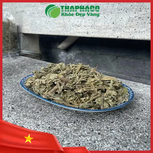 Hình ảnh nhân viên Dược Liệu Tấn Phát đang tư vấn khách hàng về cây cối xay