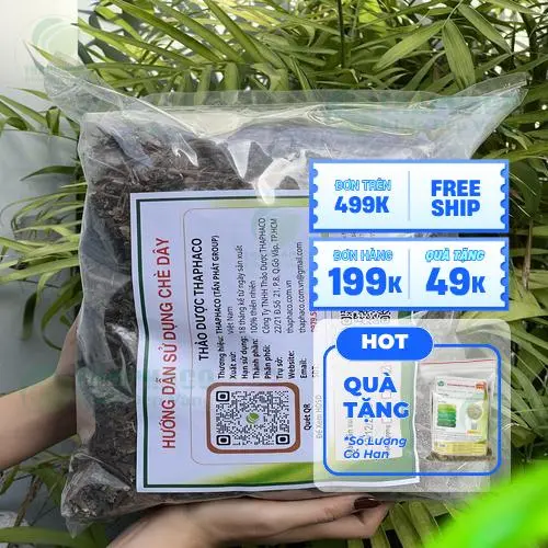 Hình ảnh cận cảnh lá chè dây tươi tự nhiên, nguồn gốc thảo dược quý hiếm.