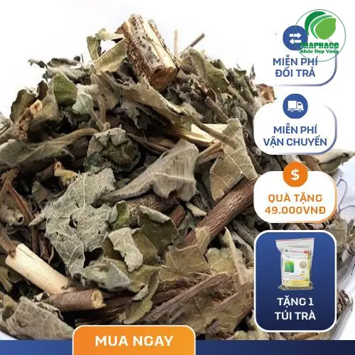 Hình ảnh cây An Xoa khô nguyên cành, chuẩn bị sơ chế