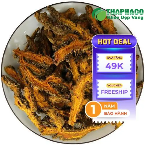 Hoàng Liên thảo dược khô cao cấp tại Dược Liệu Tấn Phát