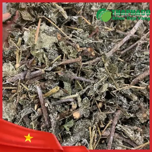 Quy trình kiểm định chất lượng chè dây tại Dược Liệu Tấn Phát, đảm bảo chuẩn hữu cơ.