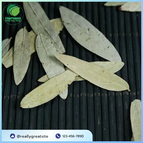 Trà Sơn Mật tặng kèm khi mua Phan Tả Diệp