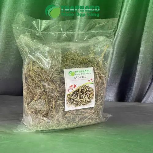 Lợi ích của cà gai leo đối với sức khỏe lá gan