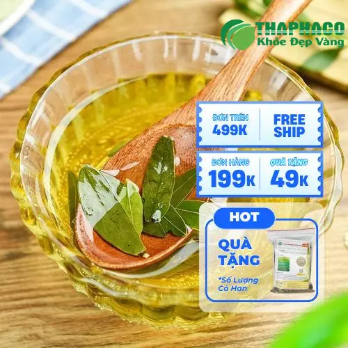 Quy trình sơ chế Phan Tả Diệp tại Dược Liệu Tấn Phát đảm bảo chất lượng và vệ sinh