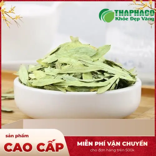 Quy trình tuyển chọn Phan Tả Diệp kỹ lưỡng