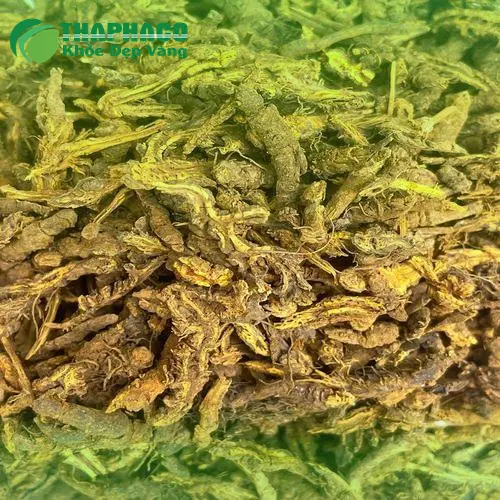 Hoàng Liên sấy khô đã qua chế biến