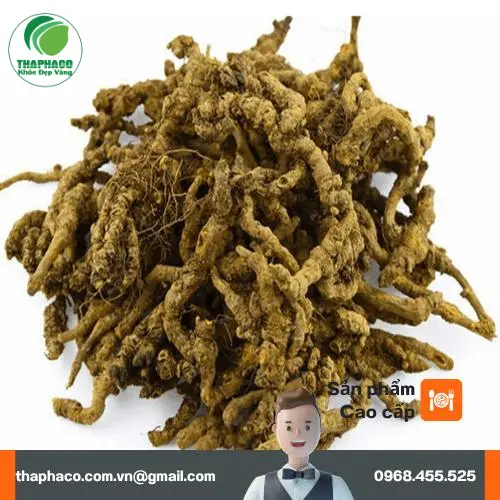 Hoàng Liên khô nguyên chất được sơ chế kỹ lưỡng