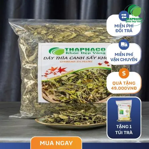Cơ chế Dây Thìa Canh giúp giảm hấp thu đường ở ruột