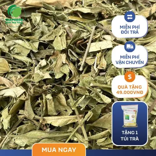 Lợi ích của Dây Thìa Canh đối với đường huyết