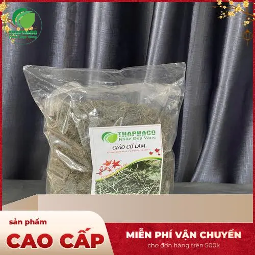 Các yếu tố ảnh hưởng đến thời gian giảo cổ lam phát huy tác dụng