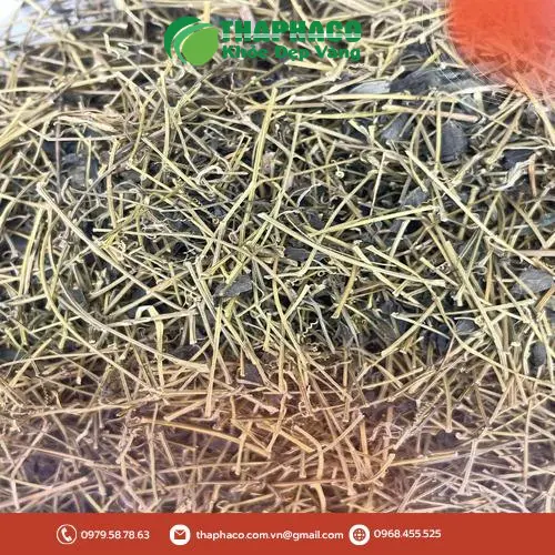 Giảo cổ lam sấy khô hỗ trợ giảm mỡ máu, ổn định huyết áp