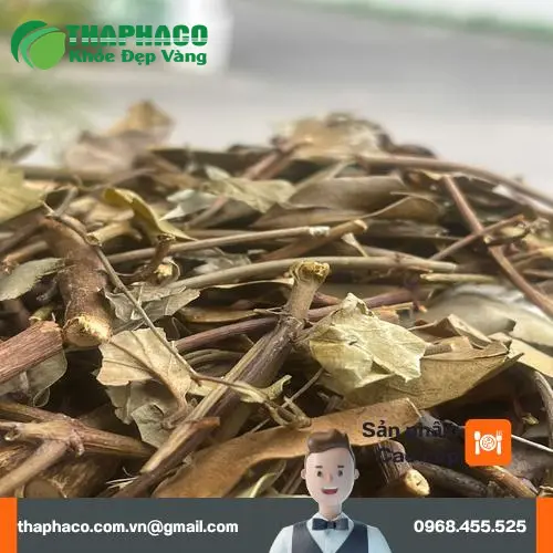 Hình ảnh tách trà chè vằng nóng