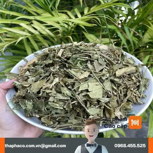 Dây Thìa Canh giá 120.000 VNĐ/kg tại Tấn Phát