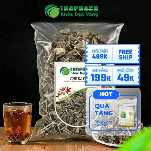 Bao bì Chè Dây Dược Liệu Tấn Phát - Đảm bảo chất lượng và dinh dưỡng