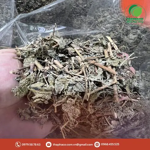 Chè Dây Tấn Phát được đóng gói đẹp mắt, tiện lợi khi sử dụng