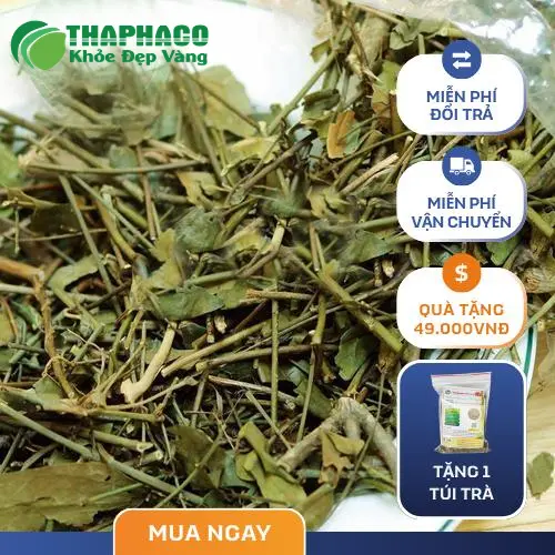 Ưu đãi 10kg chè vằng giá sỉ tốt tại Dược Liệu Tấn Phát