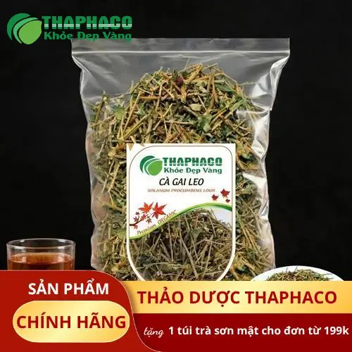 Pha trà Cà Gai Leo tiện lợi hàng ngày