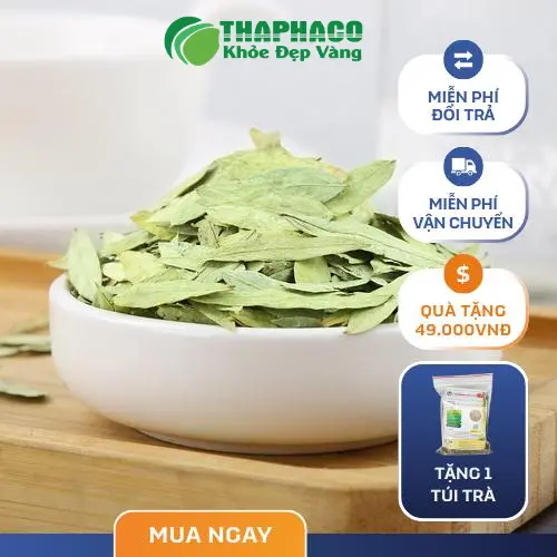 Phan Tả Diệp khô cao cấp, giữ trọn vẹn dược tính quý giá, tốt cho dinh dưỡng