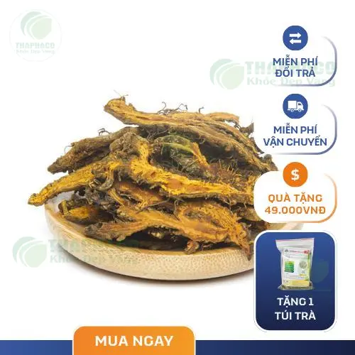 Kiểm tra chất lượng Hoàng Liên sấy khô