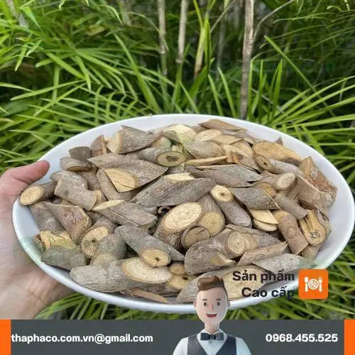 Đặc điểm nhận biết cây an xoa khô chất lượng cao