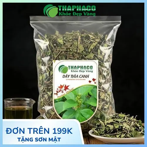 Phân tích tác dụng của Dây Thìa Canh trong việc điều hòa đường huyết