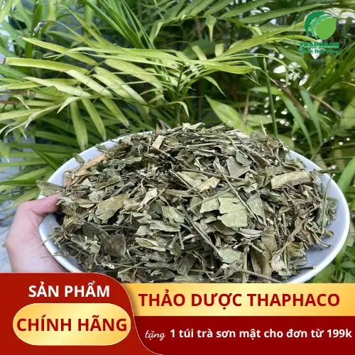 Kiểm định chất lượng Dây Thìa Canh Dược Liệu Tấn Phát