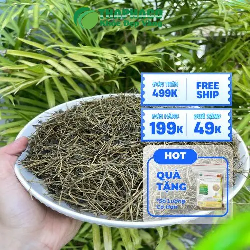 Hướng dẫn bảo quản giảo cổ lam khô đúng cách để giữ chất lượng