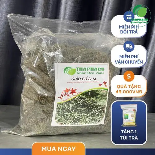 Cách pha trà giảo cổ lam sấy khô đơn giản, giữ trọn dưỡng chất