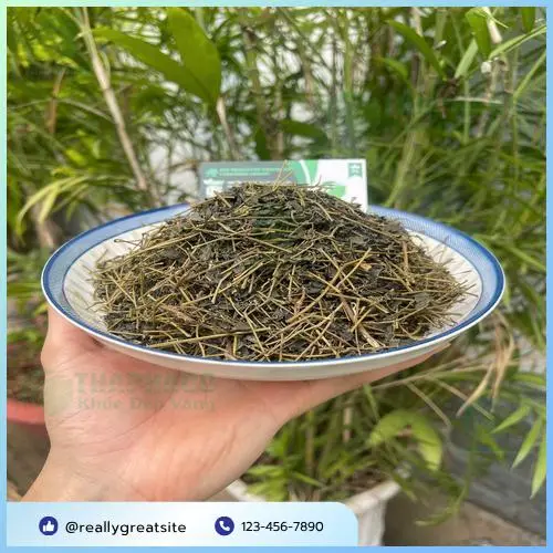Một chén trà giảo cổ lam nóng hổi được pha chế, tượng trưng cho liệu pháp tự nhiên