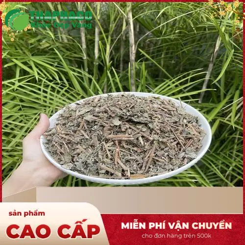 Lá chè dây khô Dược Liệu Tấn Phát - Tinh tuyển từ nguồn thảo mộc chất lượng
