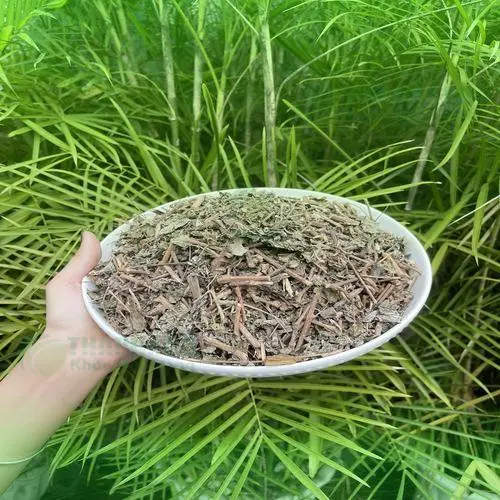 Chè Dây Tấn Phát sau khi pha chế, nước trà vàng trong, hương thơm tự nhiên