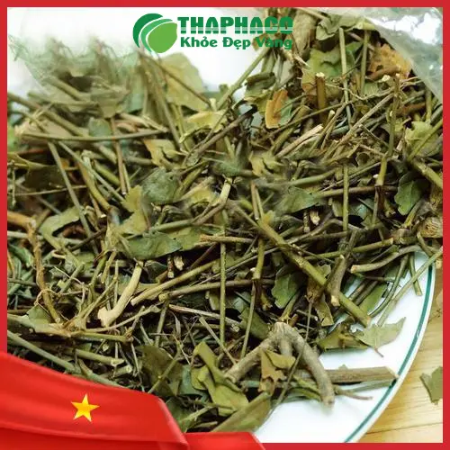 Cách bảo quản chè vằng khô tốt nhất