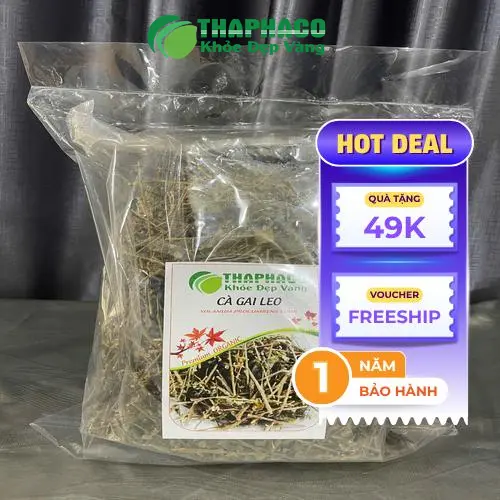Cà Gai Leo kết hợp dược liệu khác tăng hiệu quả