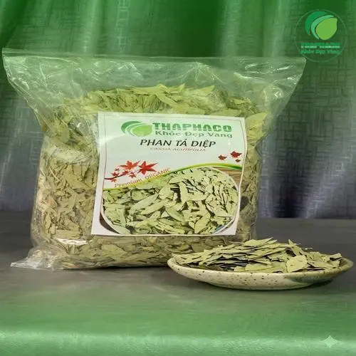 Pha trà Phan Tả Diệp đúng cách