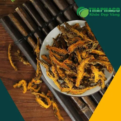 Sản phẩm Hoàng Liên chất lượng cao của Dược Liệu Tấn Phát