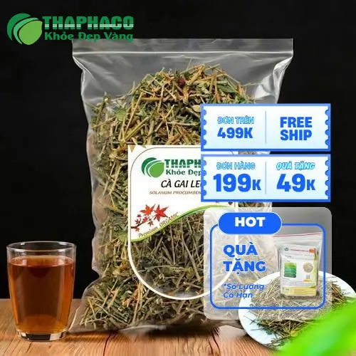 Cà gai leo được bảo quản đúng cách tại Dược Liệu Tấn Phát