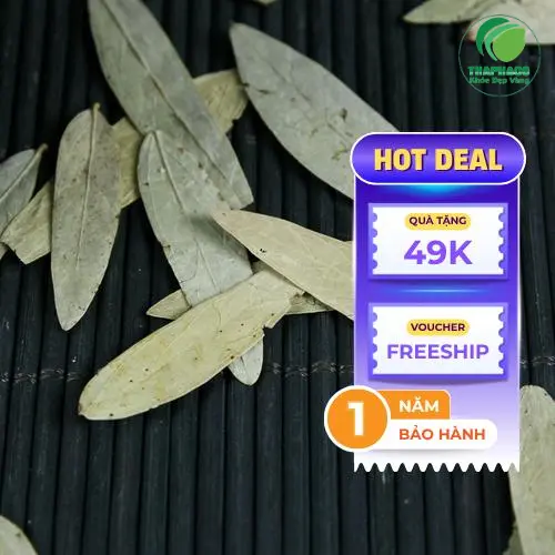 Hướng dẫn sử dụng Phan Tả Diệp đúng cách